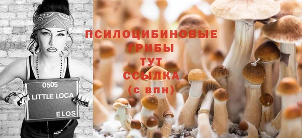 соль ск Верея